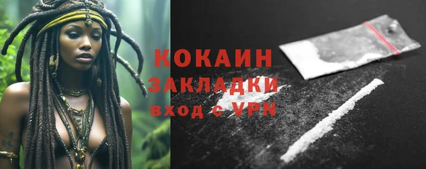 PSILOCYBIN Абаза
