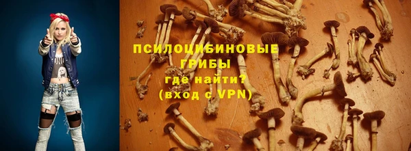 PSILOCYBIN Абаза