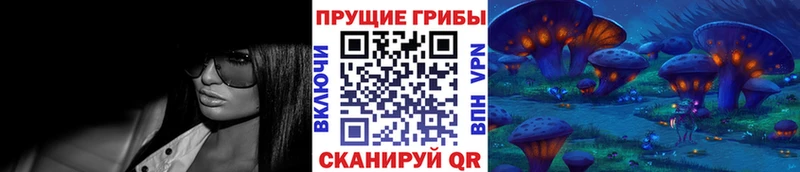 Псилоцибиновые грибы Cubensis  Новосиль 