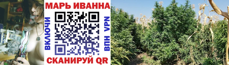 Марихуана SATIVA & INDICA  Новосиль 